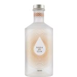 AQVA DI GIN SPEZIATA